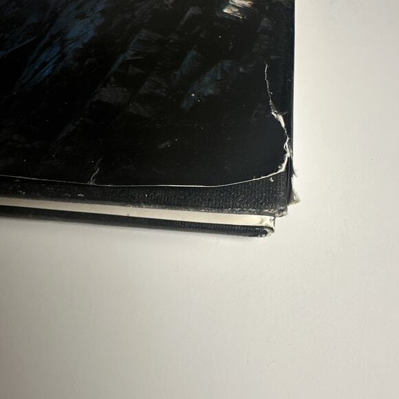 Lighthouses - Hardcover By Holland, F Ross - Dustcover 1997 - Picture 2 of 10